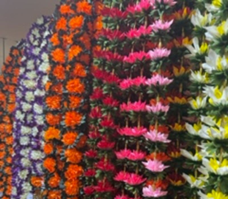 IMG_3265 IMG_3265
